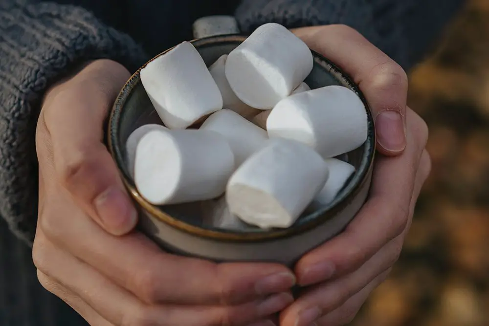 i marshmallow sono vegani?
