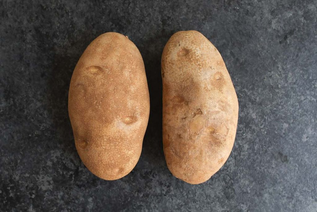Due grandi patate Russet sul bancone.