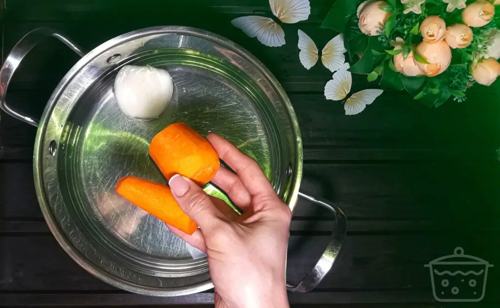 cipolla e carota in acqua